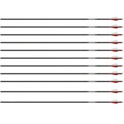 Стрелы EASTON ICS SPEED